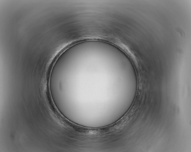 X0000115690060200911121016