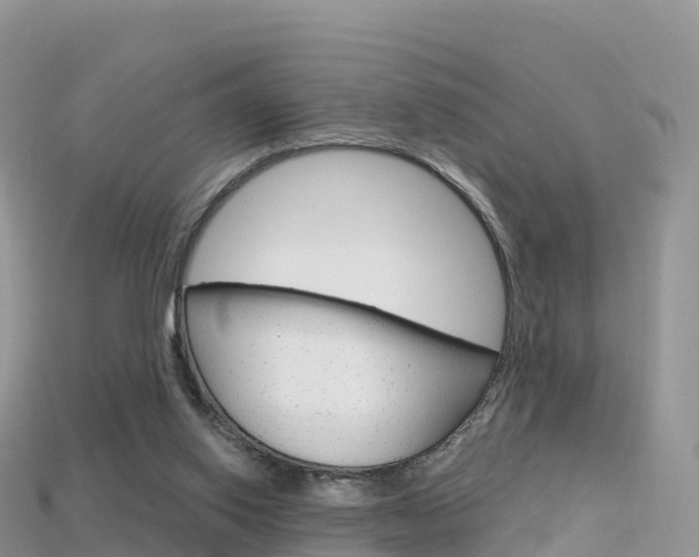 X0000115690062200911121016