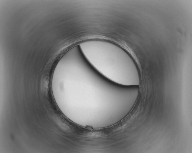 X0000115690063200911121016