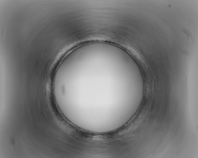 X0000115690064200911121016