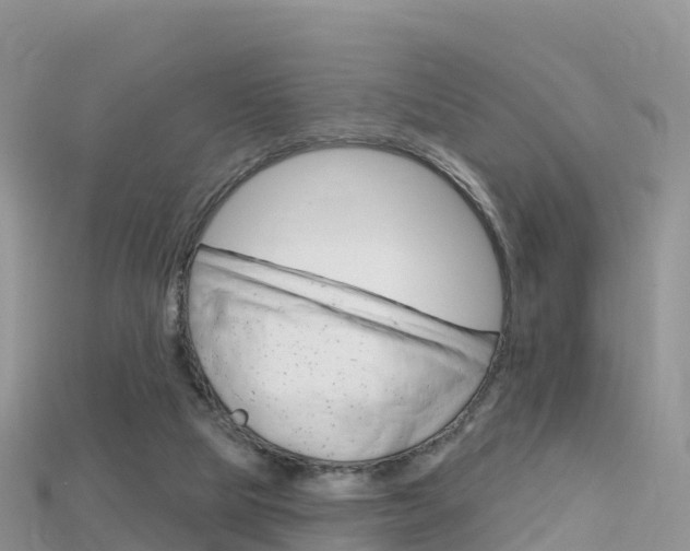 X0000115690065200911121016