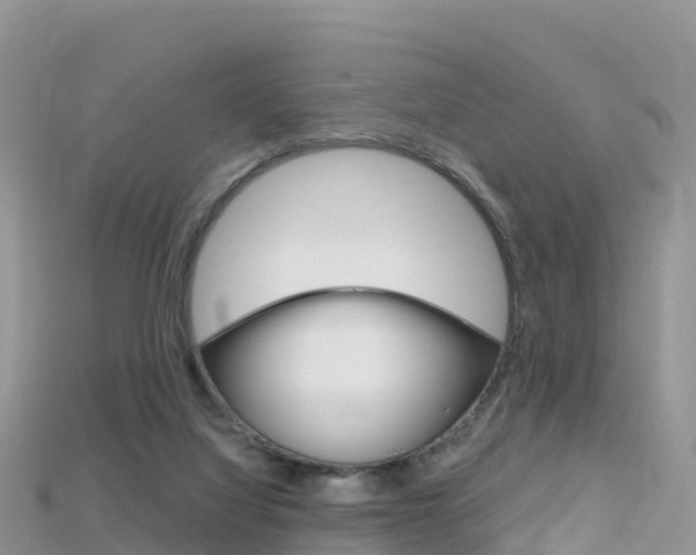 X0000115690068200911121016