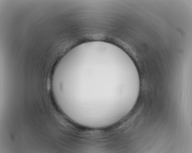 X0000115690069200911121016
