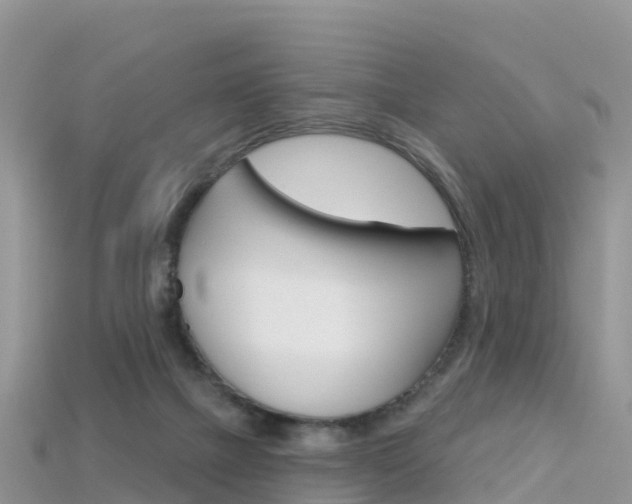 X0000115690073200911121016