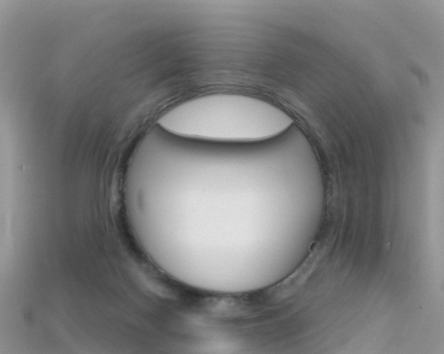 X0000115690074200911121016