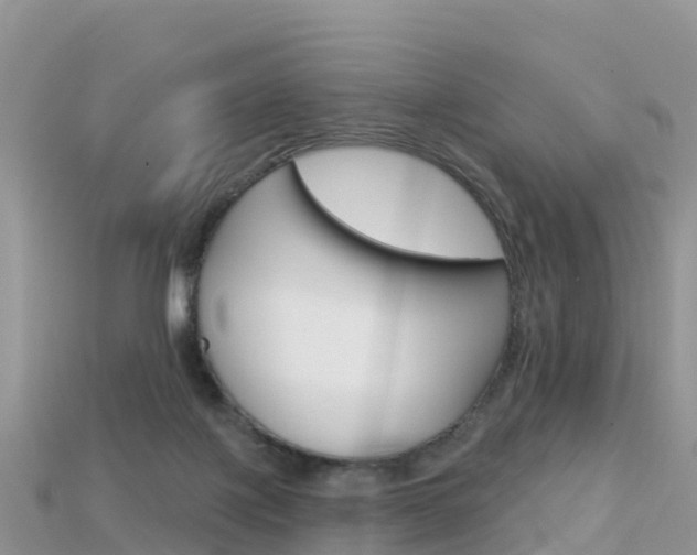 X0000115690075200911121016