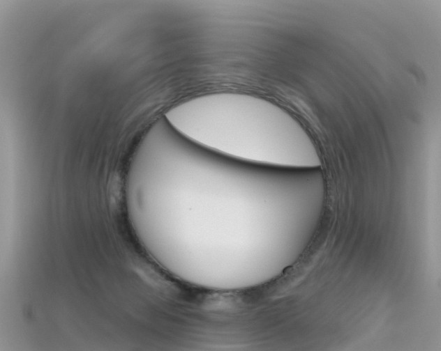 X0000115690077200911121016