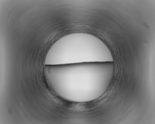 X0000115690078200911121016