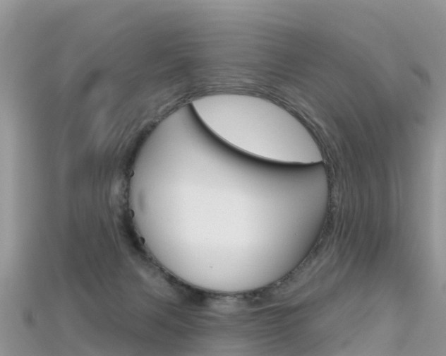 X0000115690079200911121016