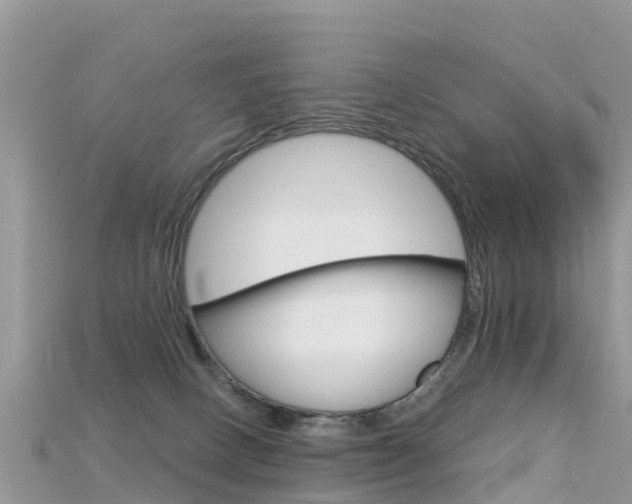 X0000115690082200911121016