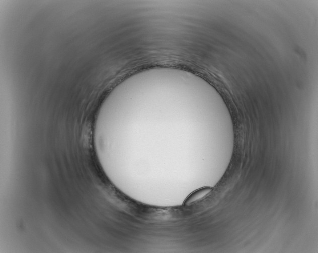 X0000115690083200911121016