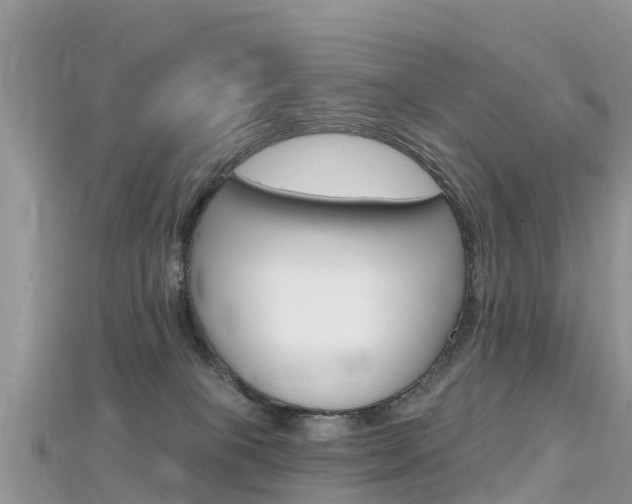 X0000115690085200911121017