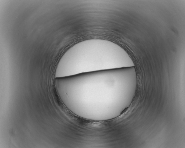 X0000115690086200911121017