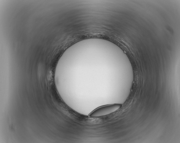 X0000115690087200911121017