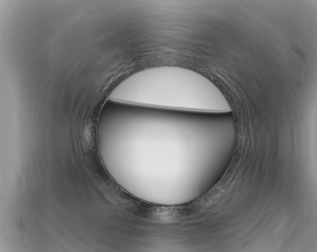 X0000115690088200911121017