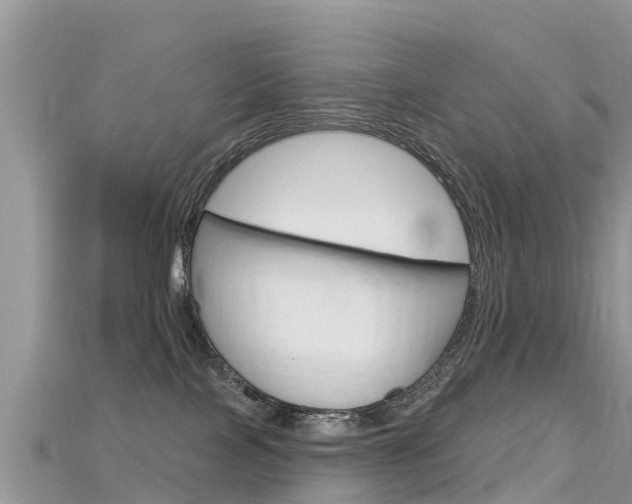 X0000115690089200911121017