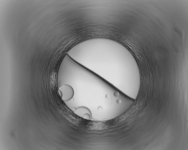 X0000115690093200911121017
