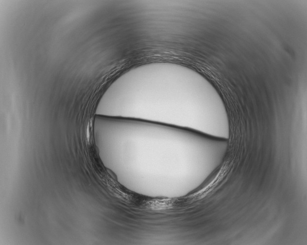 X0000115690094200911121017