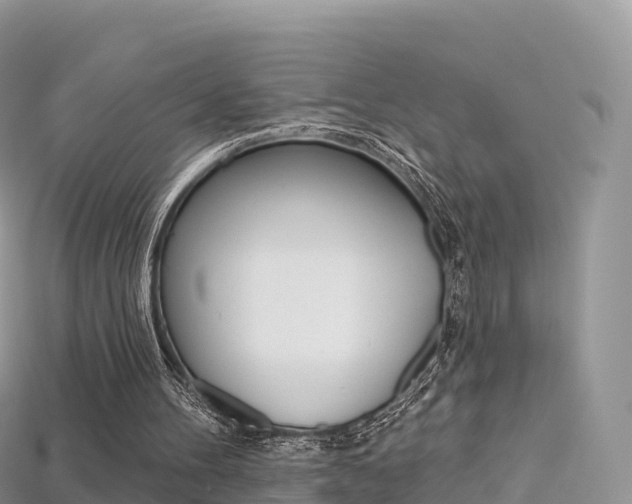 X0000115690100200911121016