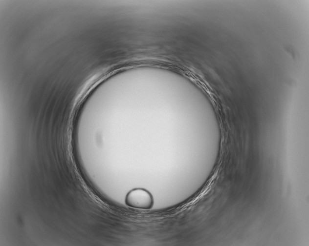 X0000115690101200911121016