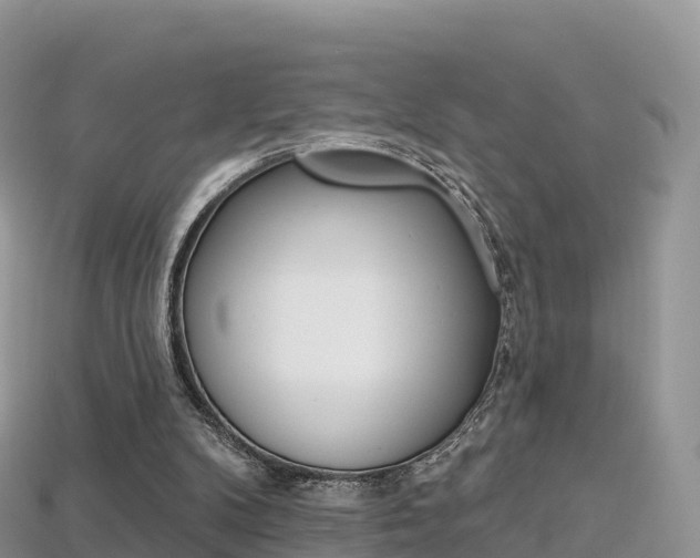 X0000115690104200911121016
