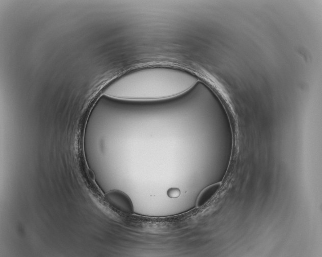 X0000115690105200911121016
