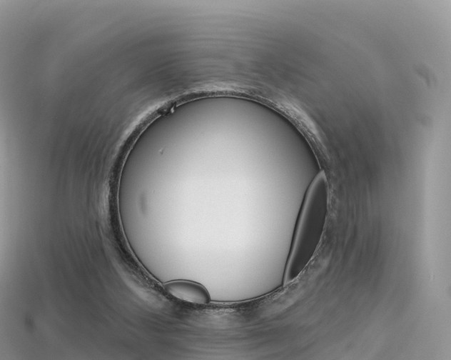X0000115690108200911121016