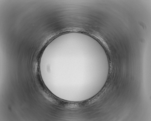 X0000115690110200911121016