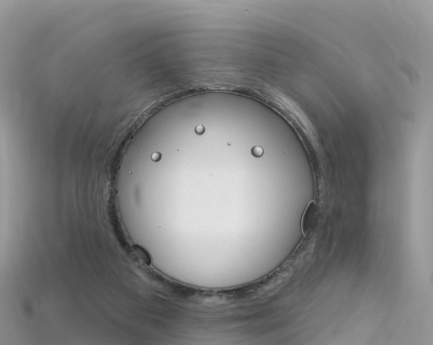 X0000115690113200911121016