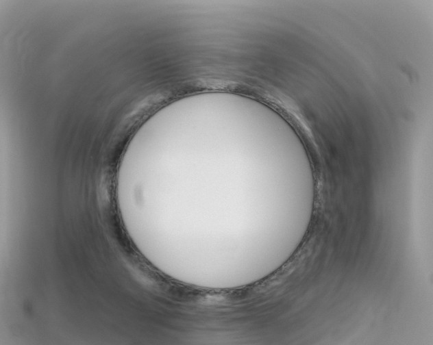 X0000115690114200911121016