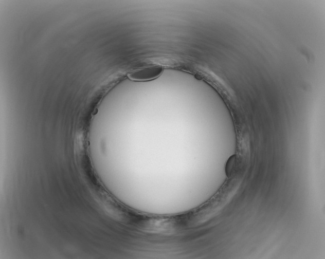 X0000115690117200911121016