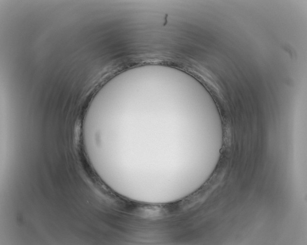 X0000115690118200911121016