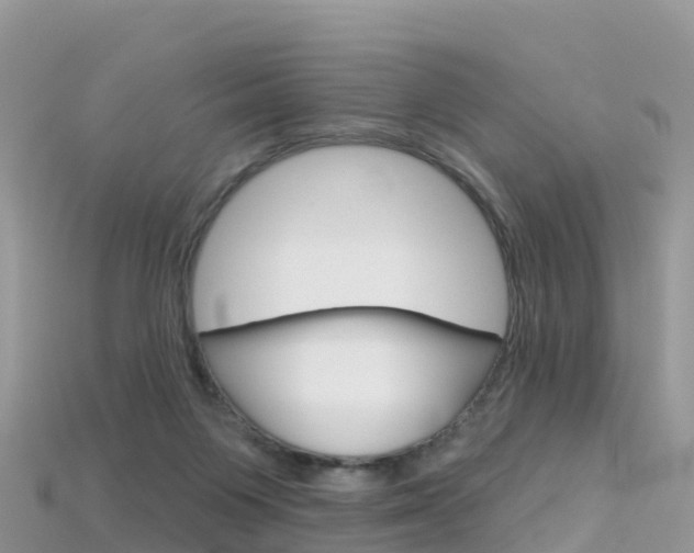 X0000115690119200911121016