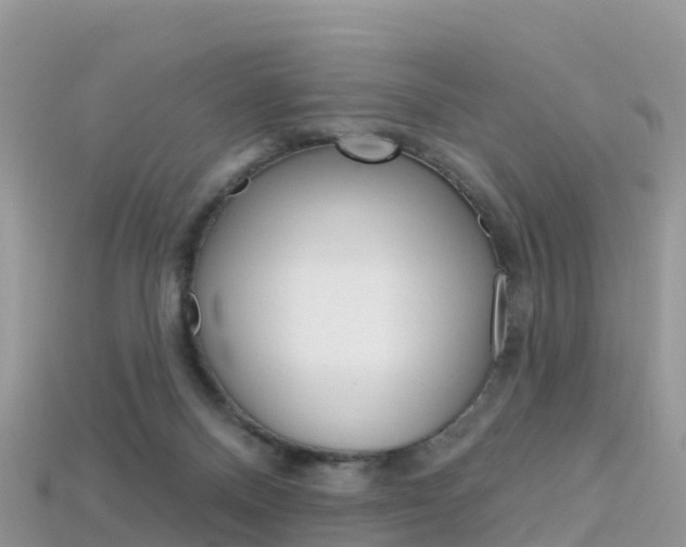 X0000115690120200911121016