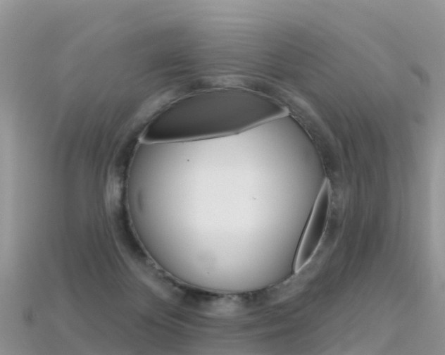 X0000115690124200911121016