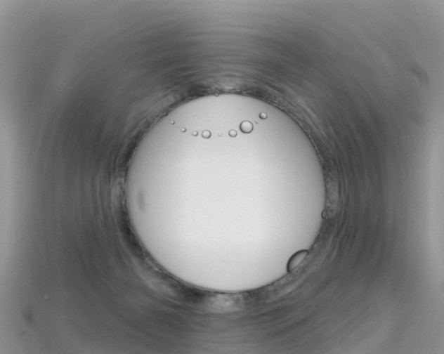 X0000115690126200911121016