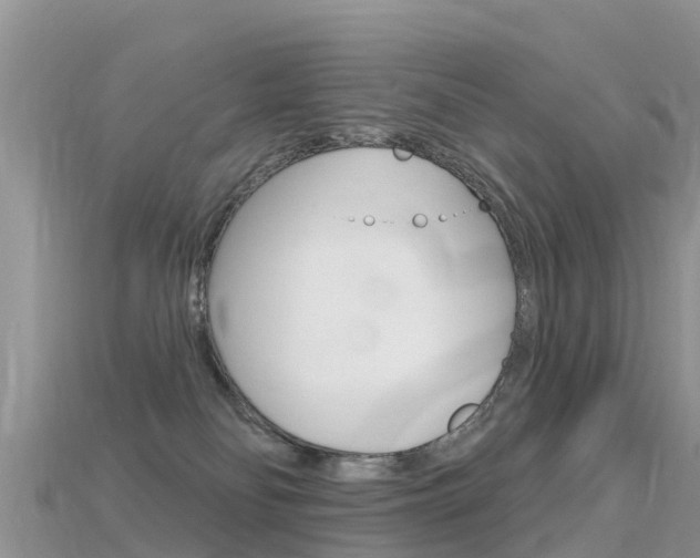 X0000115690134200911121016