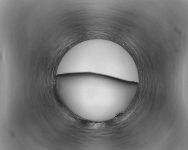 X0000115690135200911121016