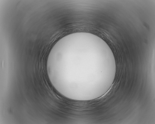 X0000115690136200911121016