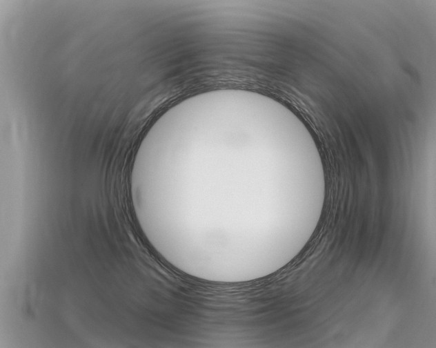 X0000115690137200911121016