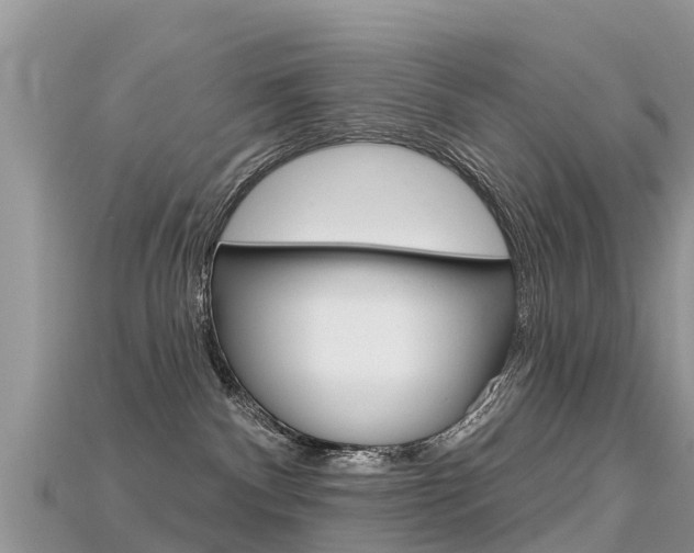 X0000115690140200911121015