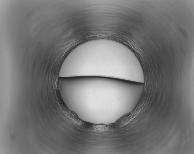 X0000115690141200911121015