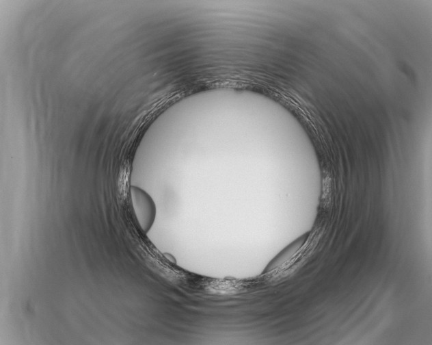 X0000115690142200911121015
