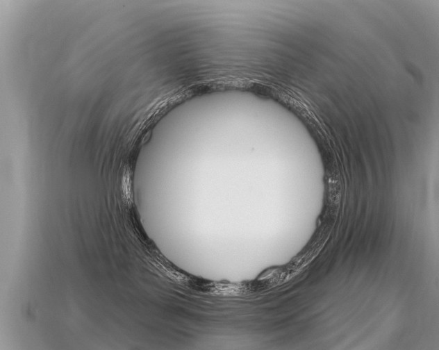 X0000115690143200911121015