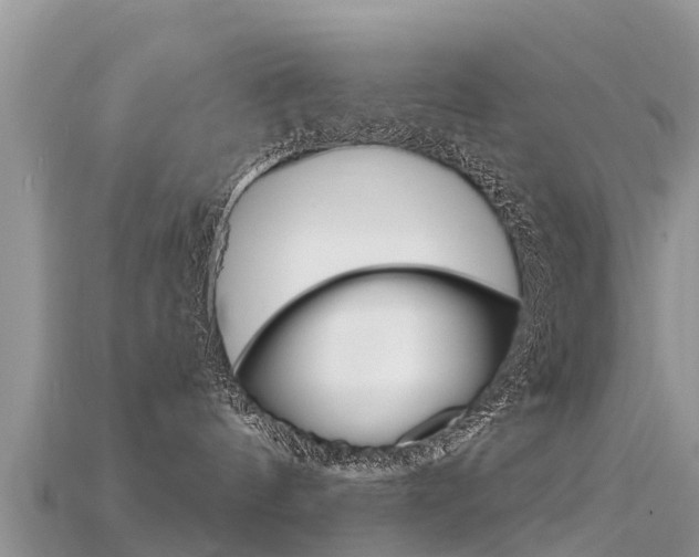 X0000115690144200911121015