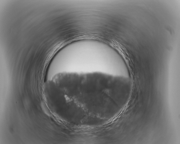 X0000115690145200911121015