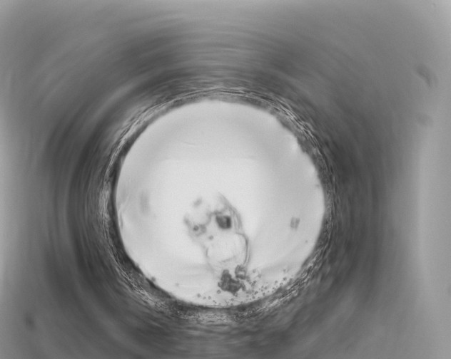 X0000115690146200911121015