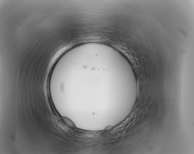X0000115690147200911121015