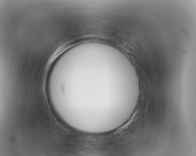 X0000115690150200911121015