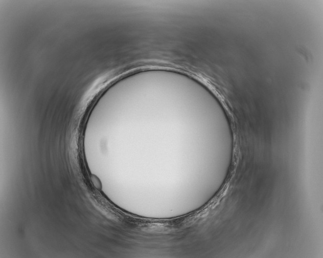 X0000115690151200911121015